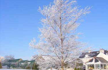 Ballyhargan Farm House - Foto 39