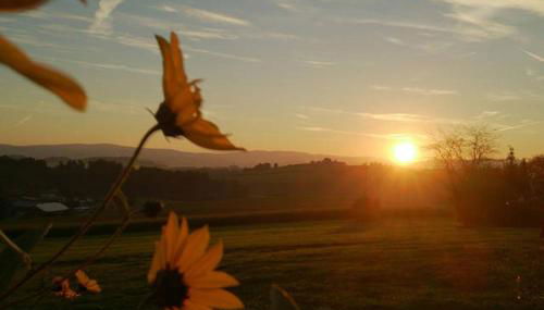 Ferienwohnung im bayerischen Wald - Photo 4