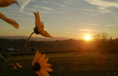 Ferienwohnung im bayerischen Wald - Foto 4