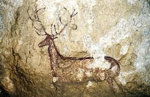 Casa Plana - Foto 23