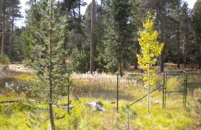 2853 Springwood Dr. - Foto 20