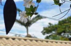 CHALEZINHO Da LÚ - Photo 43