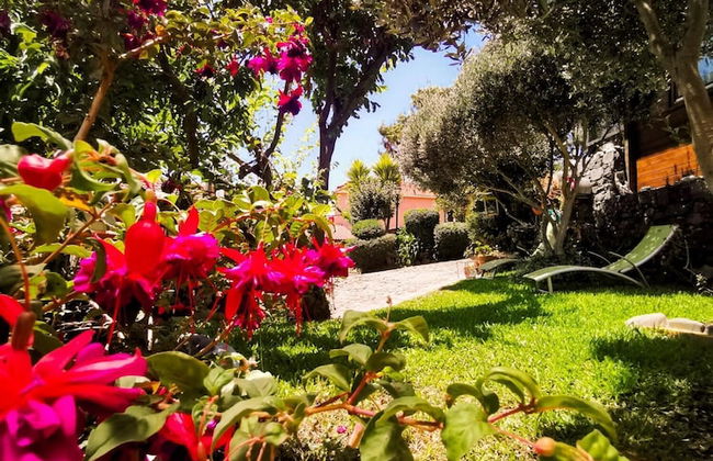 Casas Maravilha - Rvore by Homie - Foto 19