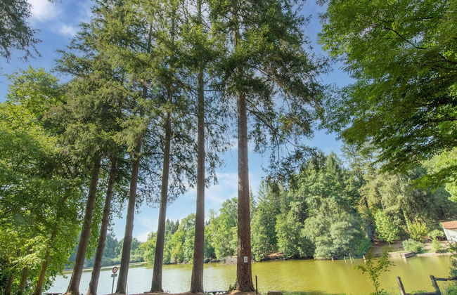 Gite in the Heart of Saone et Loire - Photo 38