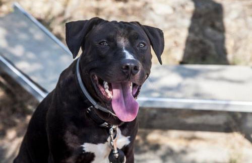 Case Vacanza Podere Risoino - Foto 18