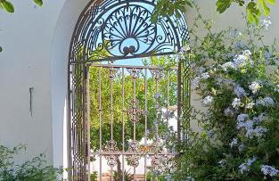 Finca Olivo Llorón - Foto 1