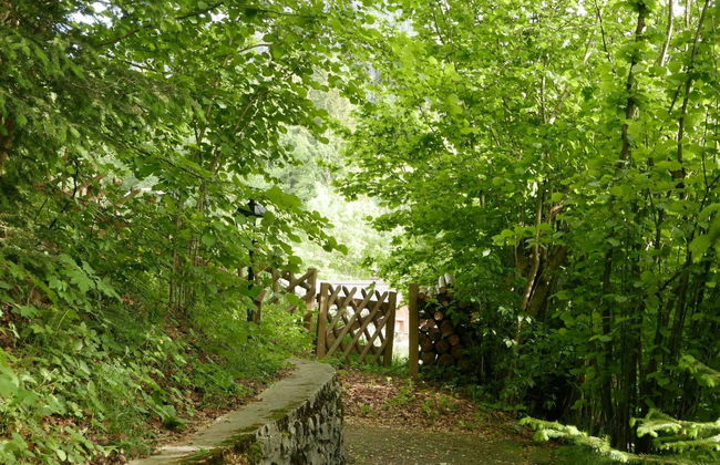 Tree-Tops, Chalet - Foto 20