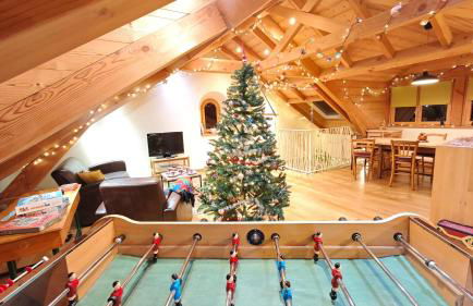 Colmar Friends and Familly guest home - ALL INCLUSIVE - COLMAR Gare - Jardin - Combles et Vous - Foto 8