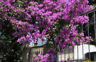 Apartments Mare - Photo 58