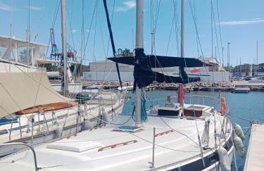 Velero Valencia Whimsy - Photo 4