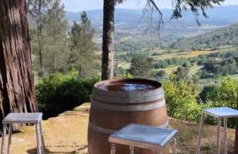 Quinta da Hortigueira - Country House - Foto 42