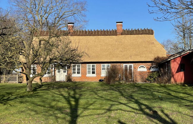 Appelhus Modern Retreat - Foto 23