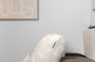 Charming Home in Cleveland 3219 - Foto 40