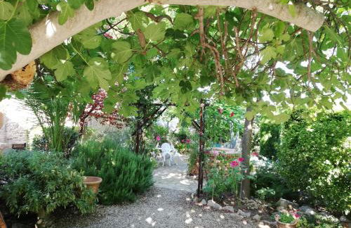 Cortijo Los Abedules - Foto 24