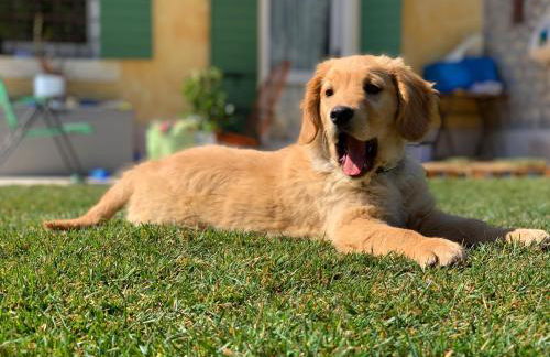 A casa di Hugo - Relais Valpolicella - Photo 12