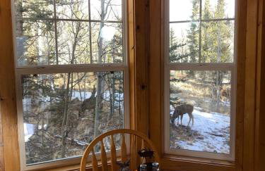 How would it feel to live close to the wildlife in a peaceful cozy cabin - Foto 31