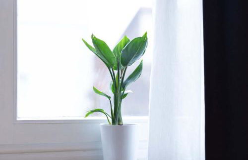 Apartment 54 - 4 Sterne Ferienwohnung in Bad Arolsen - Foto 11