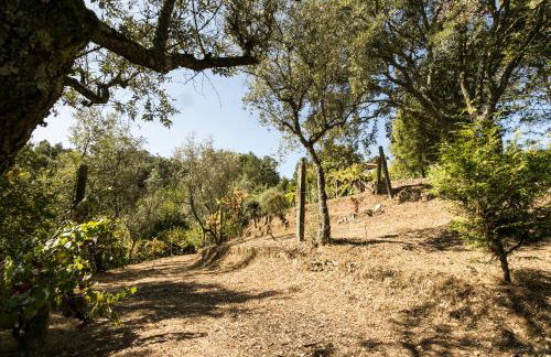 Tapadinho Nature and Pool - Countryside Villa - Foto 53