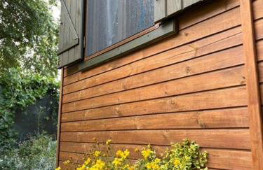 Butelkowa Zieleń - Foto 21