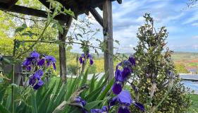 Gîte La Blanchie Haute - Foto 2, Garden, Garden view