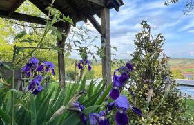 Gîte La Blanchie Haute - Foto 2