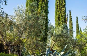 Agriturismo La Fonte - Photo 44