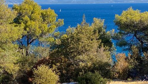 Galini apartment - Foto 2, Garden