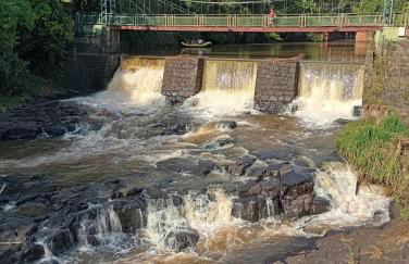 Joia do Pepira - Foto 21