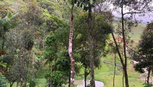 Casa de Campo Rio Miguel - Foto 5, Garden