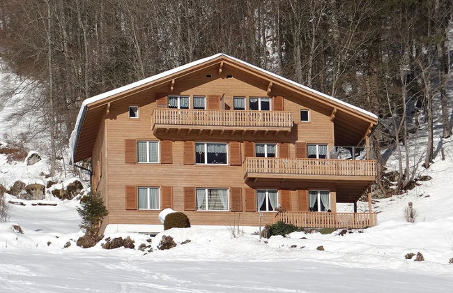 Berg Edelweiss - Foto 1