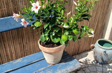 Maison Charlotte - Foto 26