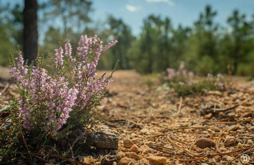 Casa Rural " LA PARRA" - Foto 32