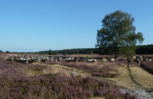 Haus Schwalbennest - Foto 18