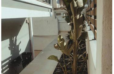 Rosemary modern house in the city center - Foto 15