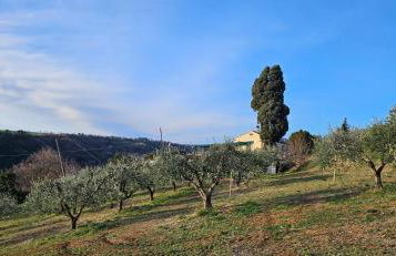 Podere Miray - Foto 19