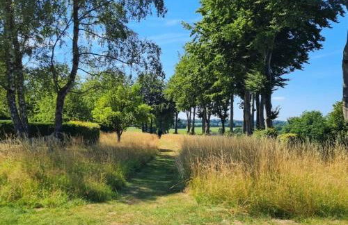 Cherry trees in blossom - Foto 27