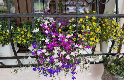 Appartamenti da Costantino - Foto 46