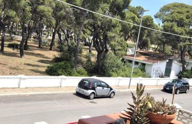 Bouganville - Foto 7
