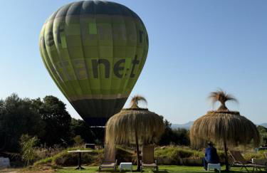 Agroturismo Finca Dalt Murada - Photo 9