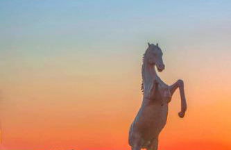 LA STELLA DEL MARE - Foto 15