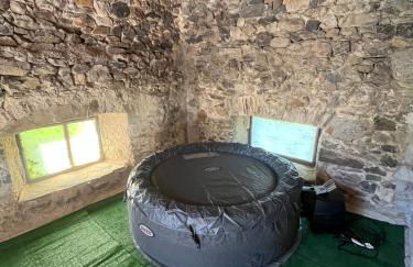 Gite le Patou Retournac - Foto 19