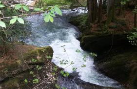 FeWo Alpenfreude mit Hallenbad - Foto 41