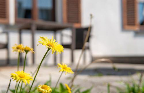 Traumhaftes Wohnen beim Badesee - Photo 8