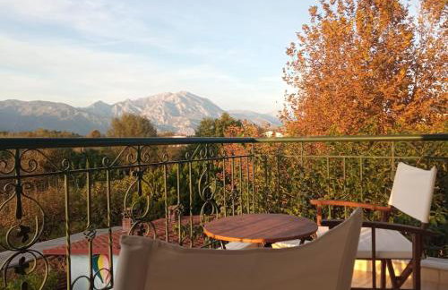 Η Αυλή - Photo 44