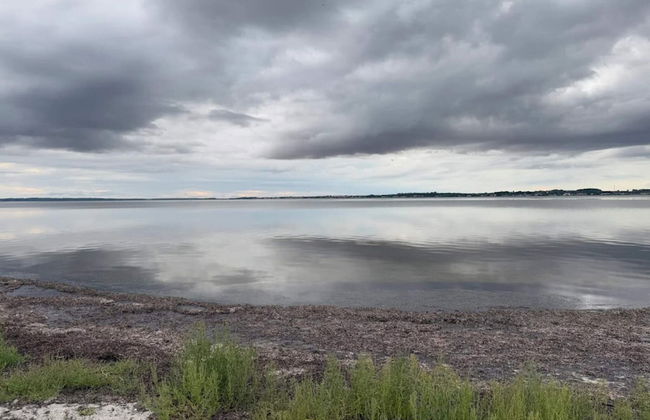 Modern Retreat in Klitgards-by Traum - Foto 30