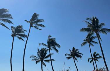 Ka Hale Kealoha - Foto 29