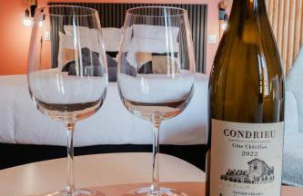 Vina Rhona - Studio de charme tout équipé entre Rhône et Vignobles de Condrieu - Foto 16