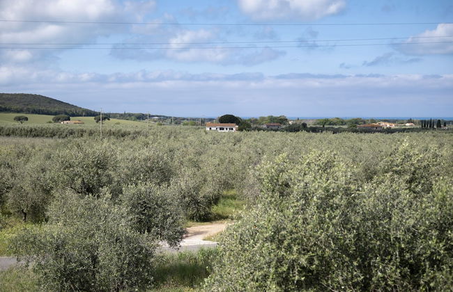 Il Cru di Vignanova - Photo 61