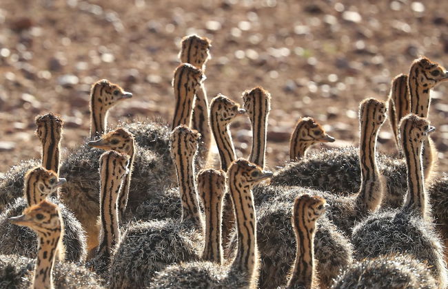 Berluda Farmhouse & Cottages - Photo 51