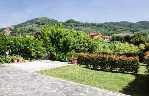 Il gatto e la volpe 1 - Foto 35